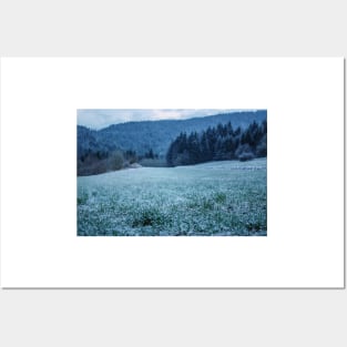 Meadow with first snow Posters and Art